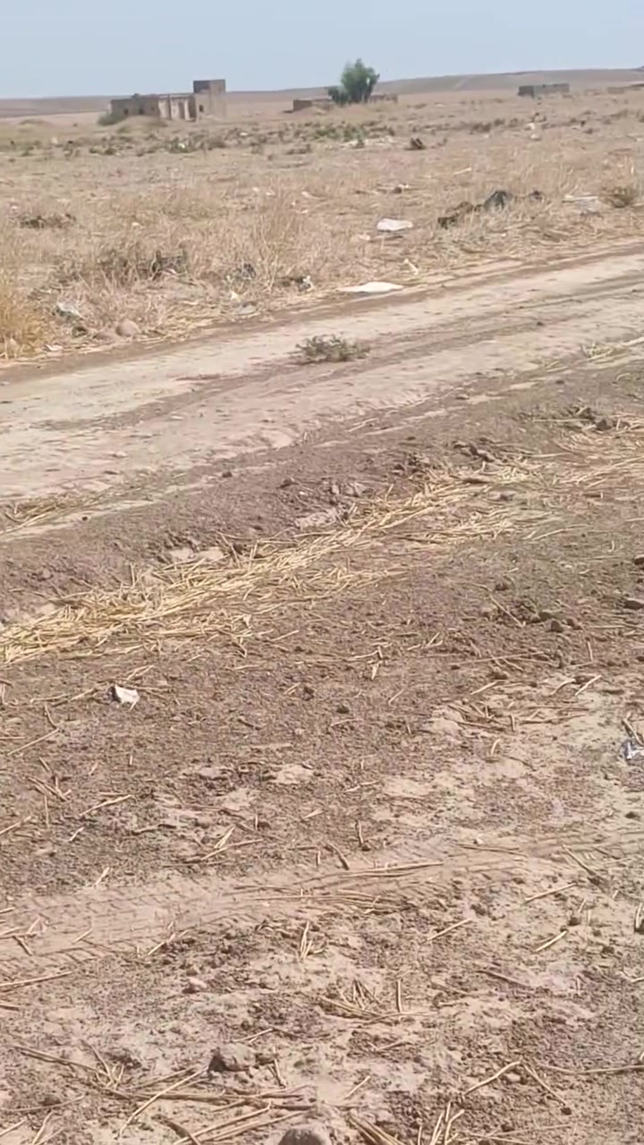 الساحل الأيسر • ٥ دونم • ملك صرف