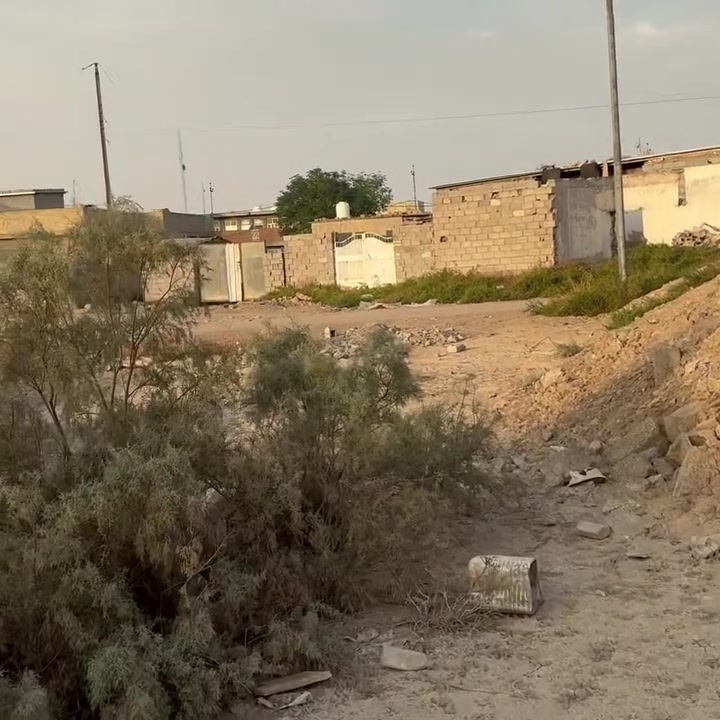 واسط الدلفية • ٣٠٠م • طابو ملك صرف