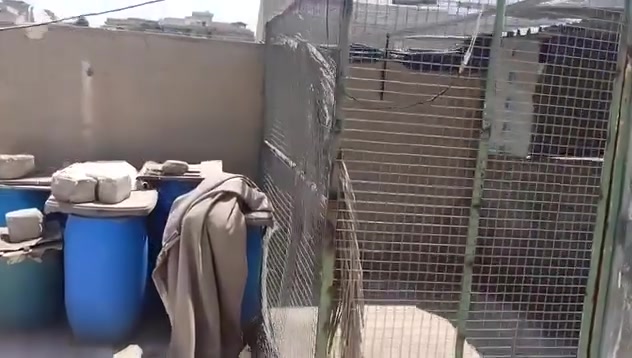 السلام عليكم متاح قفص جبير يصير مال دجاج  مال حمام مال محميه بلابل السعر ١٥٠ حي العامل اتصل عل رقم ***********
