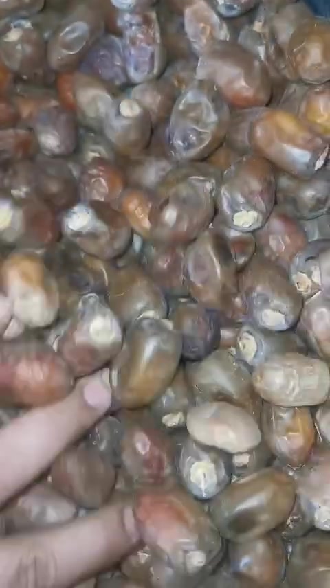 تمر خضراوي • نظيف • توصيل
