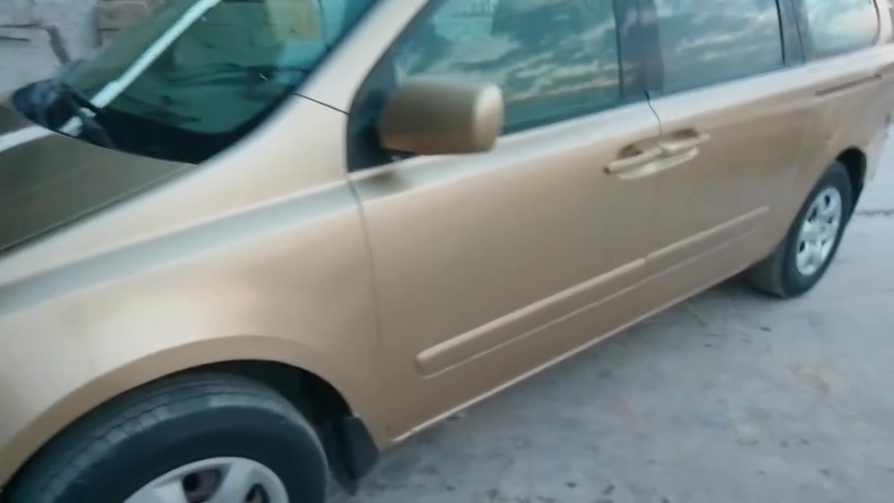 صبغ • بولش • جلي لايتات
