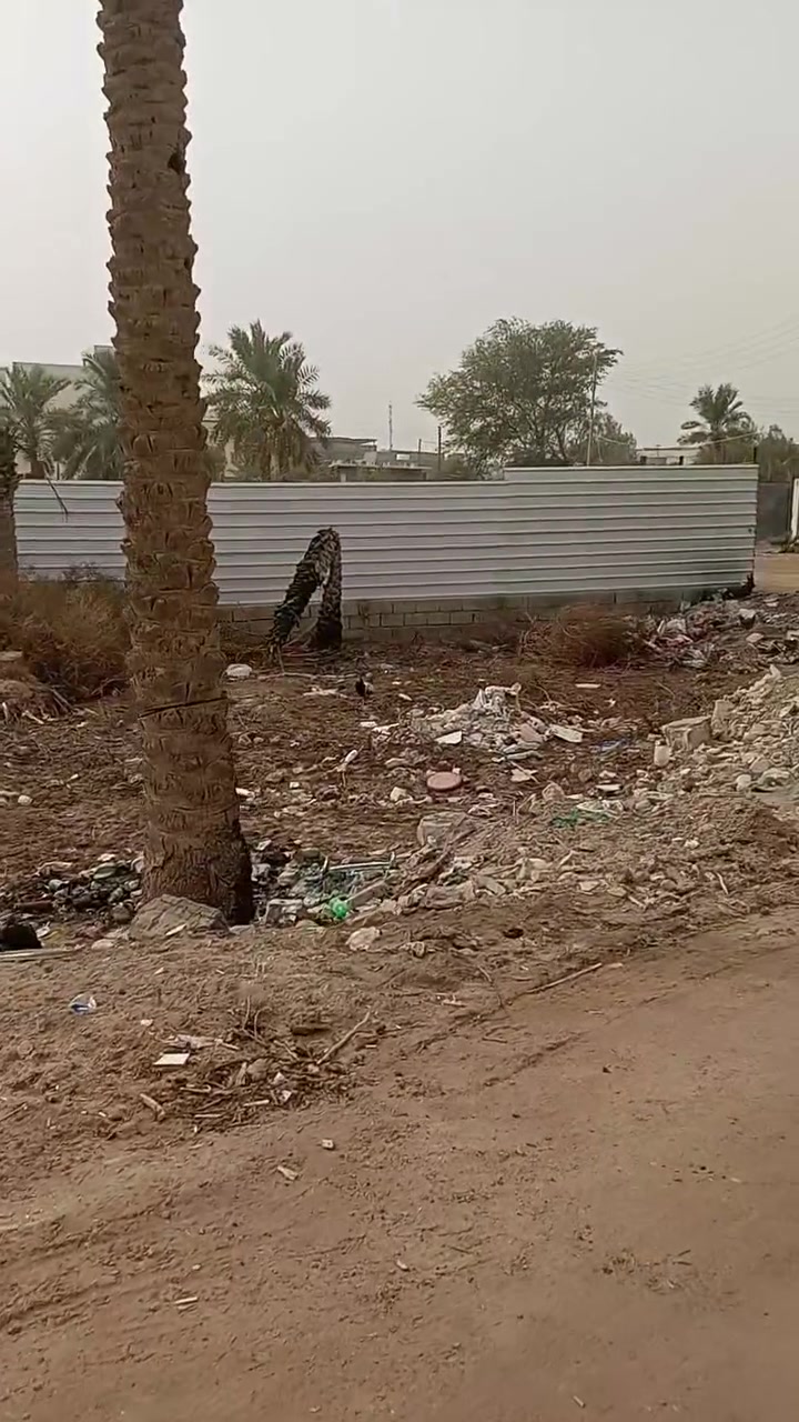 ابو الخصيب باب سليمان • أرض • ٢٥٠م