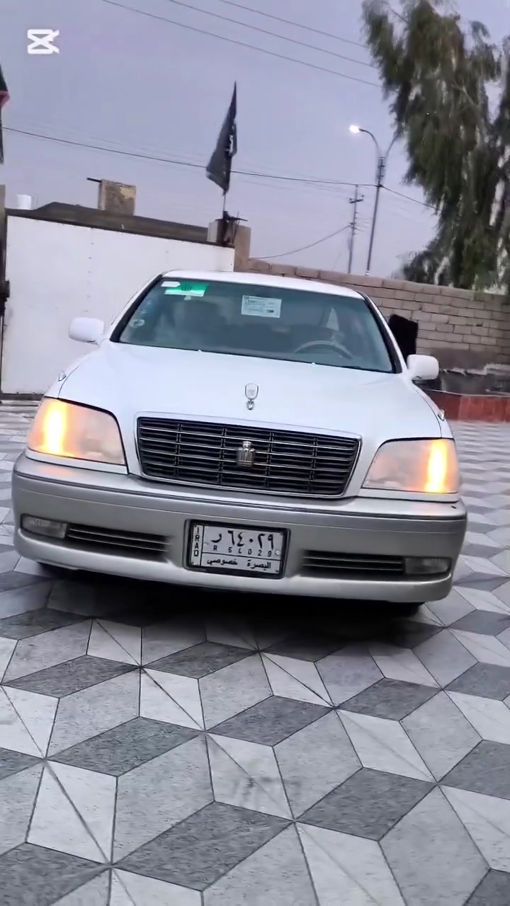 ملكه جنون • لون صدفي • رقم بصره