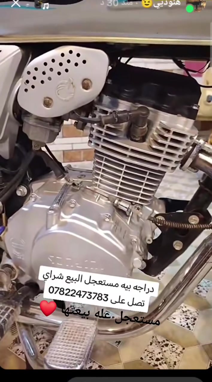 ٢٠٢٣ • مكفولة • نضيفه