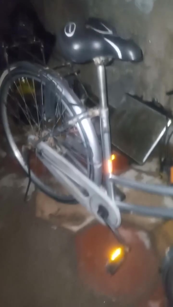باسكل اصلي جاهز سعر 70 بيه مجال بيع مستعجل *********** واساب عنوان نجف
