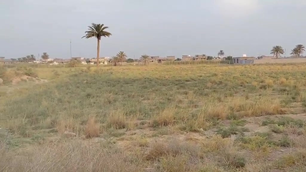 فلوجه الشهابي الثالثه • ٢ دونم • طابو زراعي سند ٢٥
