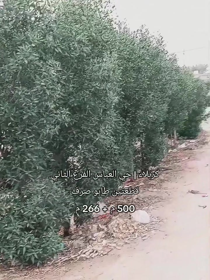 كربلاء • حي العباس الفرع الثاني • ٧٦٦م