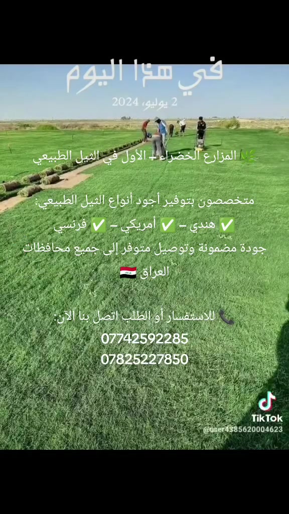 🌿 المزارع الخضراء – الأول في الثيل الطبيعي

متخصصون بتوفير أجود أنواع الثيل الطبيعي:
✅ هندي – ✅ أمريكي – ✅ فرنسي
جودة مضمونة وتوصيل متوفر إلى جميع محافظات العراق 🇮🇶

📞 للاستفسار أو الطلب اتصل بنا الآن:
***********
***********

