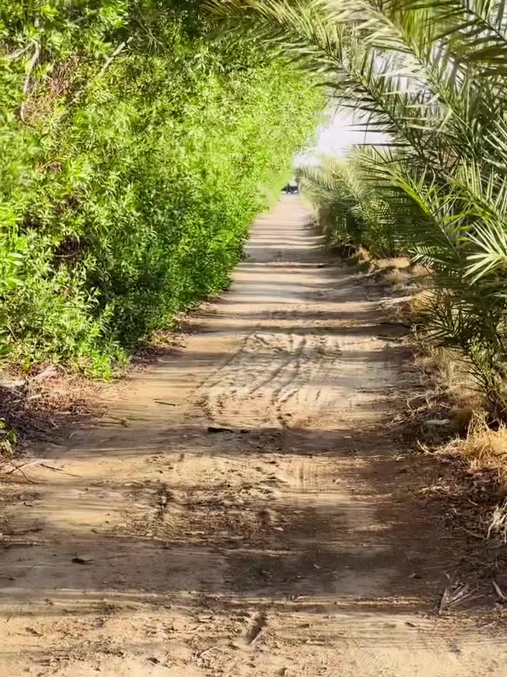 مزرعه للبيع..عقد خمس دوانم مجدد لغاية.  2028 
فيها كهرباء  ماء اساله.  بىر ارتوازي... ماطور.  15 حصان. 
فيها بيت سكن بناء جديد..  فيها اشجار.  ونخيل..
على شارعين .. 
البراكيه.. شارع السبيس ... مقابل شركة سيد احمد الميالي الجديدة

ممكن أن تكون واجهتها محلات تجارية أو غسل سيارات أو اي شيء تجاري.
وحتى تصلح ان تكون دور سكنيه وتوزع قطع.
فيها كل المؤهلات متوفره.من ماء و كهرباء.
عرض الواجهة. 50  متر. وطولها. 250. متر 
ولها واجهتان على شارعين.

     ***********.  أبو ثمود الغزالي......

        ______________"""""
ابو ثمود الغزالي
