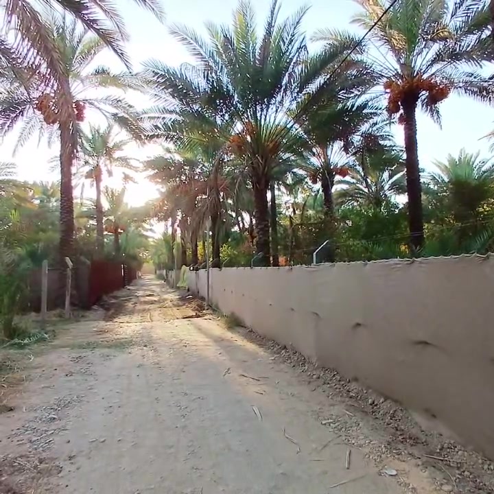 السلام عليكم اللبيع الف متر ✅ بغداد الراشديه قرب البحيره او مزرعه نخيل ✅صنف العقار طابو زراعي ✅ الخدمات المتوفر ماء سقي وماء اساله وكهرباء ✅وايضا مزرع زراعه كامله 🌴 وسعره 120 اللا ستفسار يرجئ المراسلة او اتصال ***********
