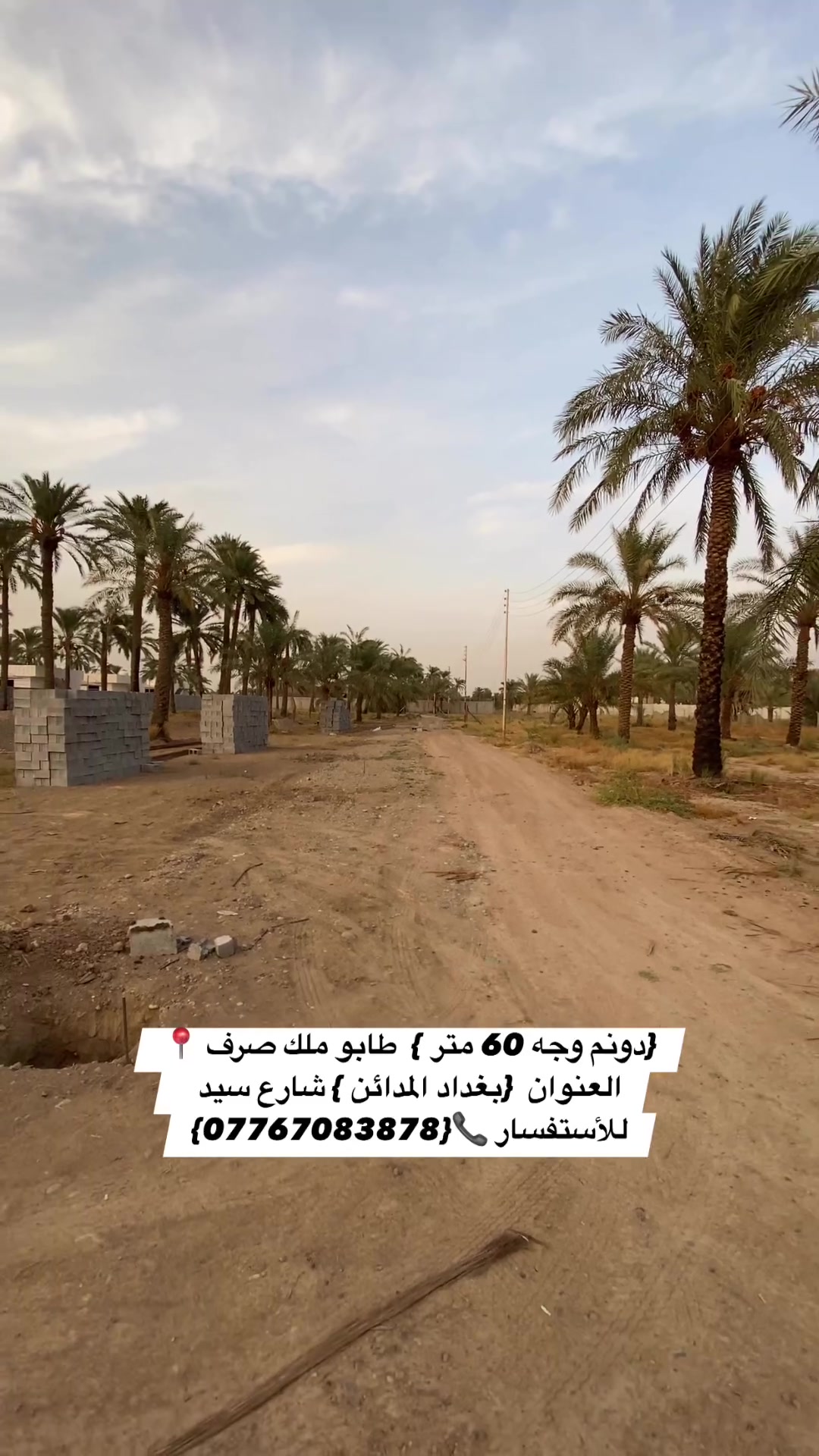 المدائن • دونم • واجهة ٦٠م