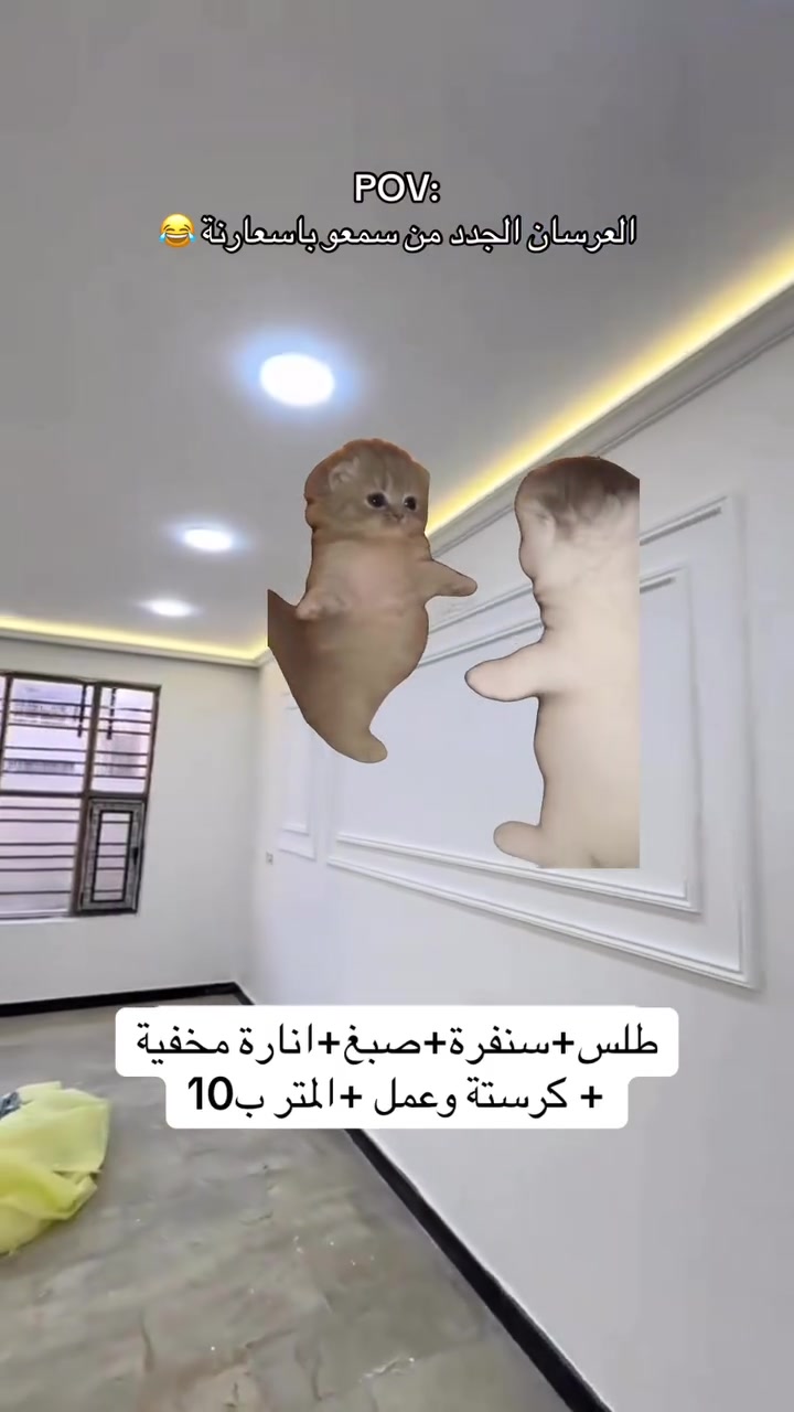 ار مناسبة جداً جدا 😍
العمل داخل ميسان فقط📍
الاستفسار خاص (***********) 
سعر المتر 10 الاف دينار عراقي 😍
يشمل (طلس جدران بمادة الستن التركي🇹🇷+سنفرة الجدران للتنعيم+صبغ الجدران من شركة (BY) المميزة +كورنيش انارة بوركس مع النشرة 😍
اتحدة اي شخص ياخذ بهيج سعر 
كل هلجمال والدلال بس سعر المتر 10 دينار عراقي كرستة وعمل ومواد 🤭 #العراق #كربلاء #ميسان
