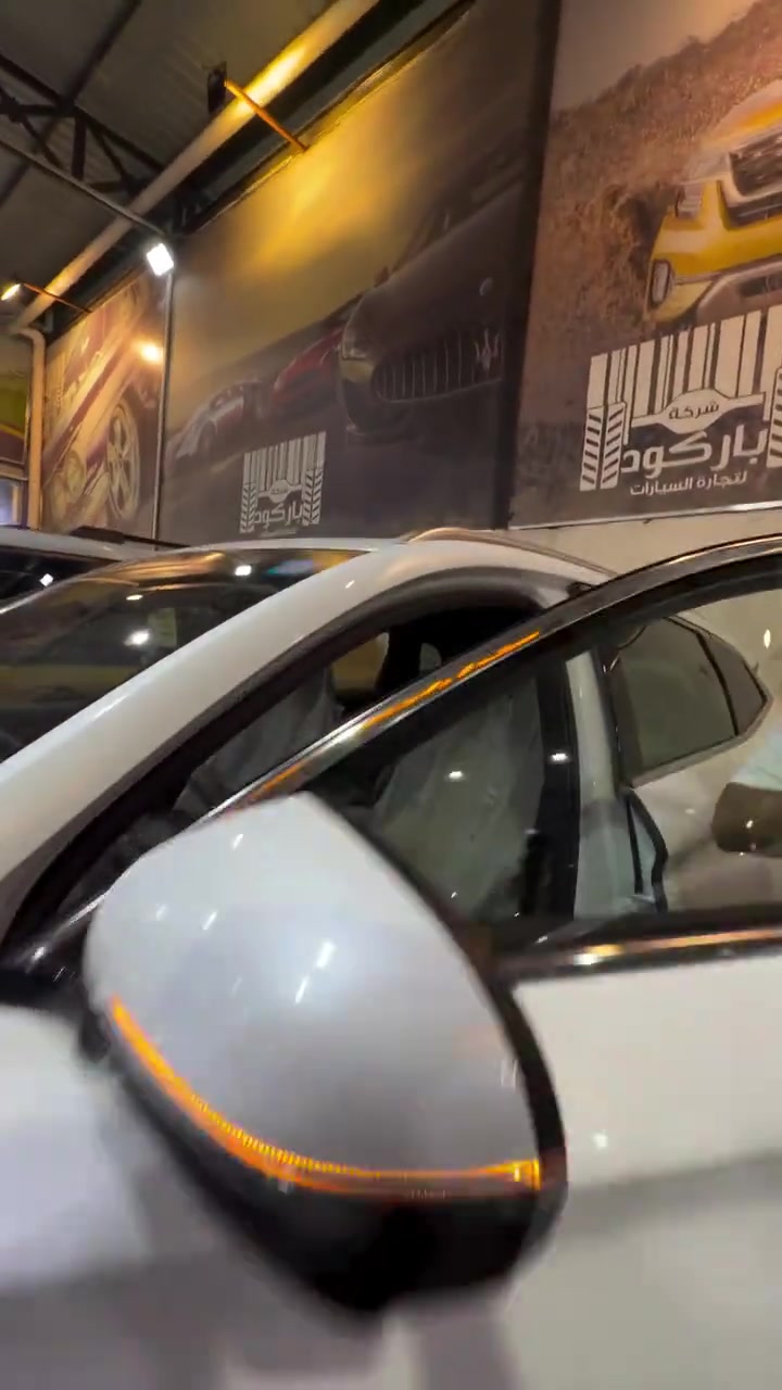 سونك بلص • ٢٠٢٥ • فيديو