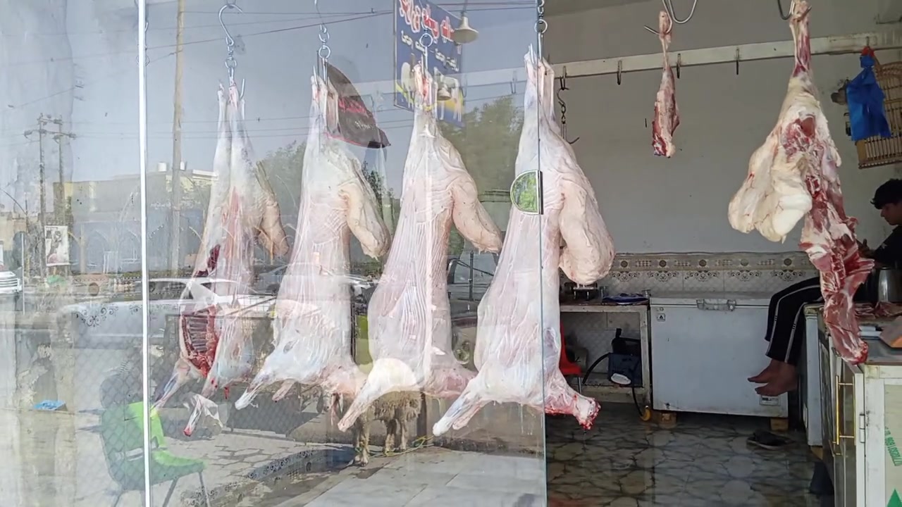 الي يدور نضيف خل يجيني 
لحم درجه اوله 
***********
جزاره علي جاسم ومحمد محمد عيدان 
وليجي بي خير ويدلل مانقصر وياه
جماعت المطاعم اليشتغل نضيف ويدور 
زين مال طلي مو مخلوط خل يجيني  
وبي خير ويدلل@
