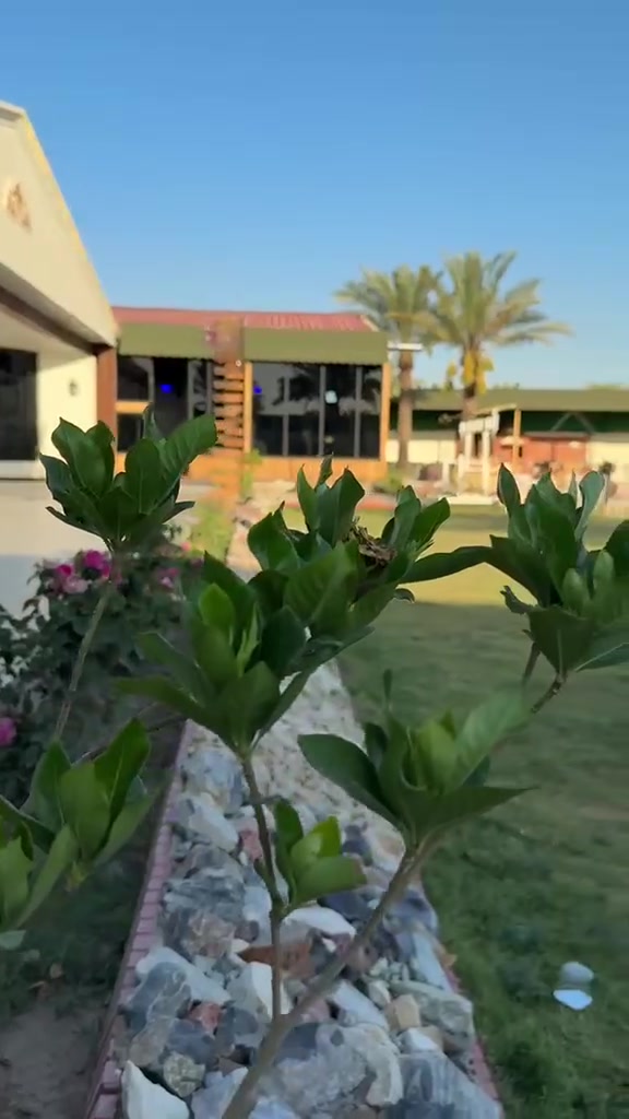 🌿🔥 سلمان باك.. والوناسة غير! 🔥🌿

مزرعة جميلة ومجهزة لقضاء أحلى الأوقات 🏡✨
أجواء راقية، خصوصية وراحة للعوائل 🤍

📍 المدائن – سلمان باك
📩 للحجز:  ***********
