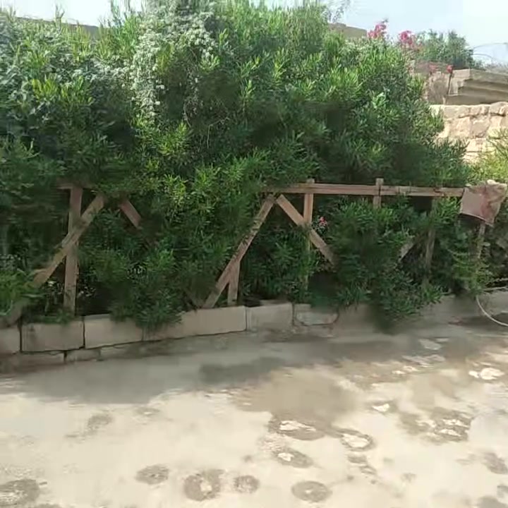 السلام عليكم بيت للبيع مساحه 300 حي السلام ثاني فرع شارع السبيس البناء 140 المساحه الطرمه زائد حديقه 160 يحتوي على  غرفتين وصاله ومطبخ ترك منور بيتونه زائد سطح سيراميك يحتوي على كاش البيت كله الاستفسار على هذا الرقم غير متواجد على الفيس***********
