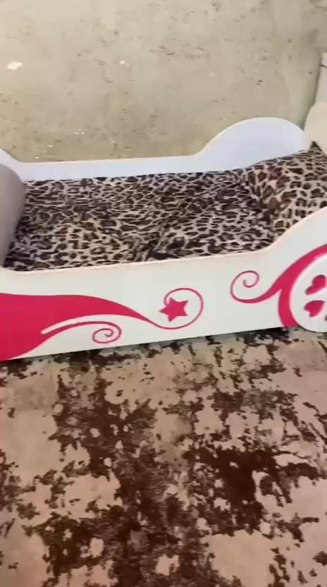 سلام عليكم 
غرفة تركية مستعملة درجة اولى للبيع مع جرابي عدد 2 وحدهن 

للاستفسار ***********
