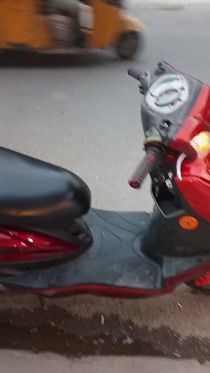 سكنس فحل • نوزل • متعوب عليها