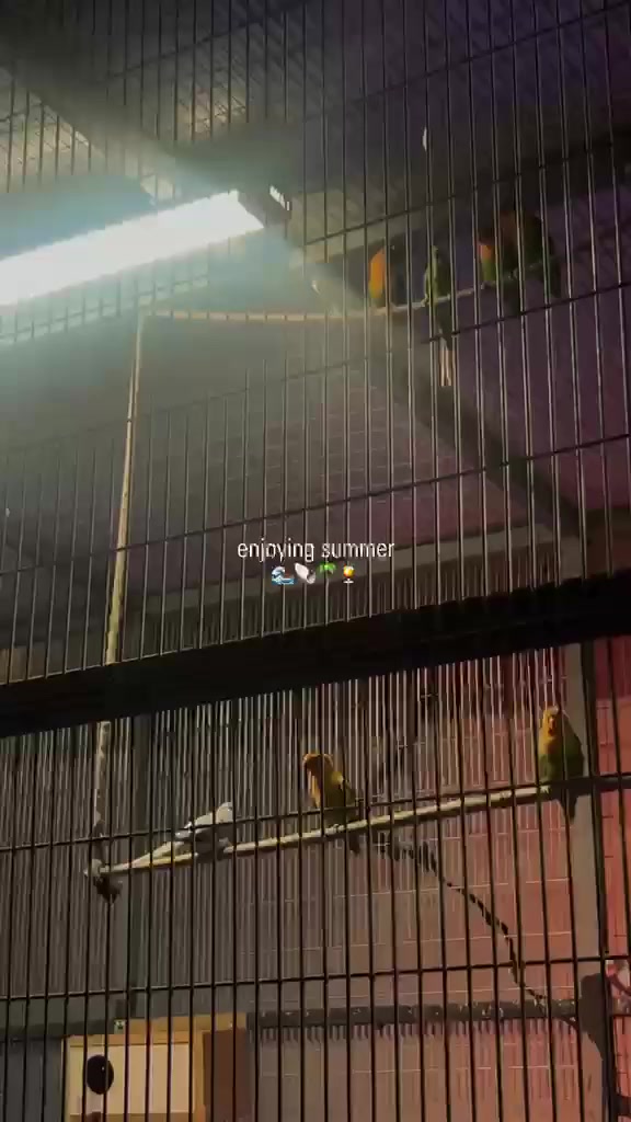 أهلا وسهلا في منتجع السلطان ViP بنظام فندقي((للإيجار اليومي والشفتات ))❤️❤️
🔴 موقع المنتجع( بغدادـ ابو غريب -الشيحة قرب مستوصف عگرگوف)تبعد عن المنصور 15دقيقه

🔴 مسبح للكبار ومسبح للأطفال مفلتر 🏊‍♂️
🔴 يحتوي المنتجع على غرفتين منام وصاله مكيفه كبيره ومطبخ مجهز بالكامل وحمام غربي 
🔴 مكان مخصص للشواء(كباب ـ تكة-سمك) 🍖🍗🥩🍔🐟
🔴 صاله للالعاب( منضده فيشه-شطرنج- طاولي)

🔴 ألعاب للأطفال 🛝🛝
🔴 حديقة أماميه وخلفيه
🔴كهرباء 24h  
🔴 للحجز والاستفسار يرجى مراسله الصفحه او الاتصال على الأرقام ***********
🔴ملاحظه//المنتجع موثق بتطبيق أجرلي
🔴نستقبل حجوزات للعوائل والشباب
🔴ادارة المنتجع غير مسؤولة عن اي حادث (عرضي أو غرق أو مشاجرة أوصعقة كهربائيه )
