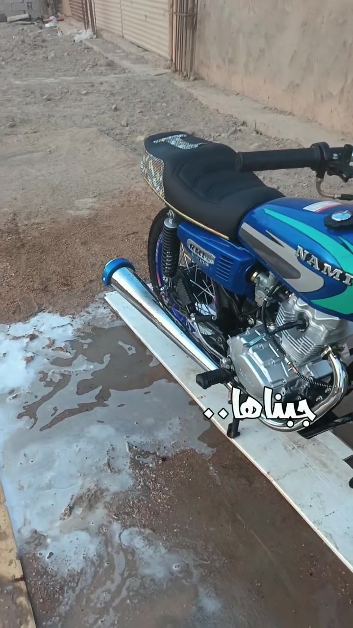 صولي تايكر • اوراق اصلية • عمره شهر