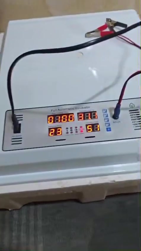 فقاسة بيض • بابل أبي غرق