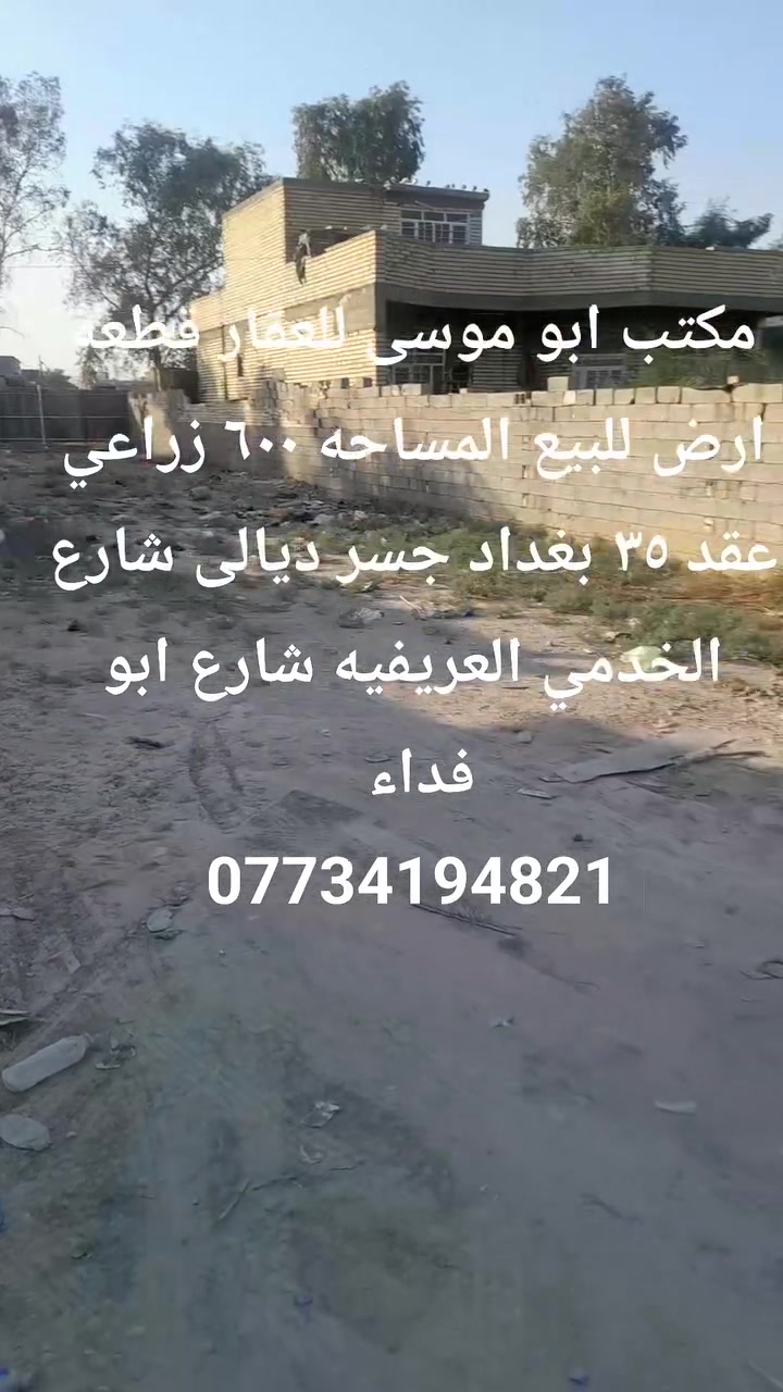 لا توجد تفاصيل
