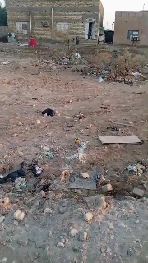 السلام عليكم ورحمة الله وبركاته، قطعة أرض للبيع التفاصيل داخل المقطع زراعي سند ٢٥ جربوعيه الثانيه قرب المستشفى الألماني قرب المجمع لؤلؤ ساوه شارع علي الضاهر، المساحه ٥٤٩ الاستفسار انتصال عل الرقم الموجود *********** مداور ثاني يوم واذا تريد نص منها عادي
