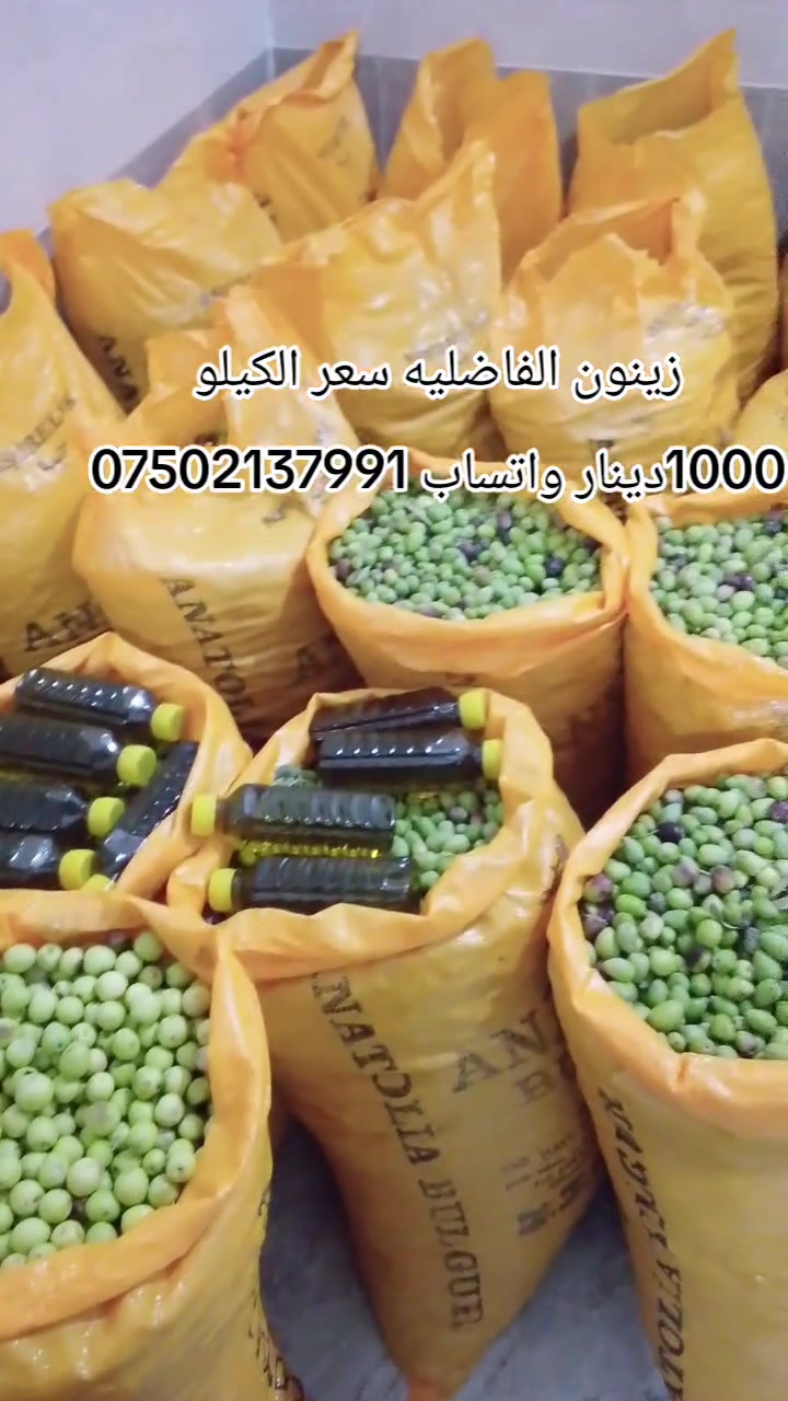 زيتون أخضر • الفاضلية • توصيل الموصل