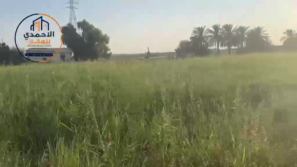 الصقلاوية • ٥٠٠٠م • قريب الفرات