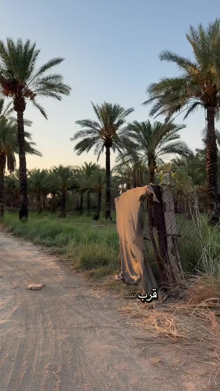 السلام عليكم 
دونم طابو سند ٢٥ تحويل مباشر 
العنوان المدائن منطقة الجعاره قرب شارع سيد علي 
وجه الارض ٣٠ متر 
***********
