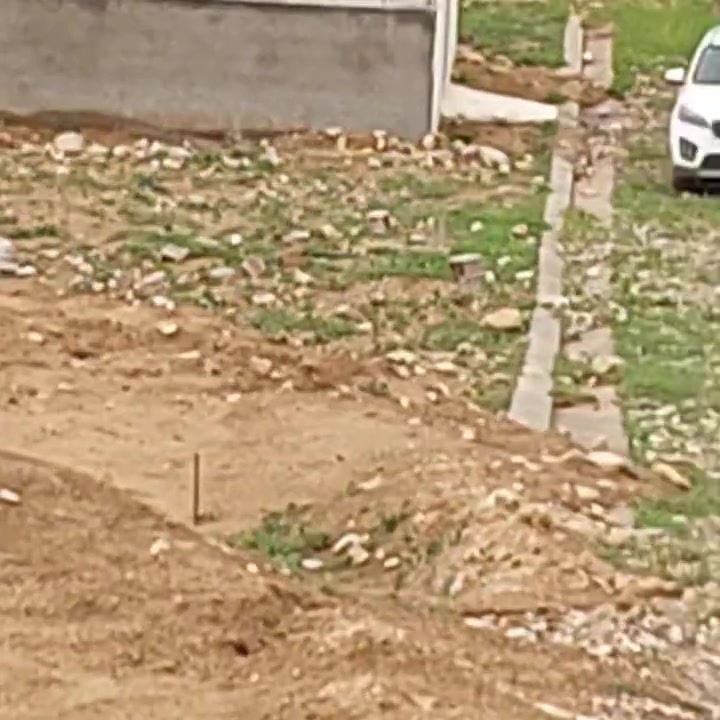 شقلاوة الجديدة • ٢٠٠م • ملك صرف