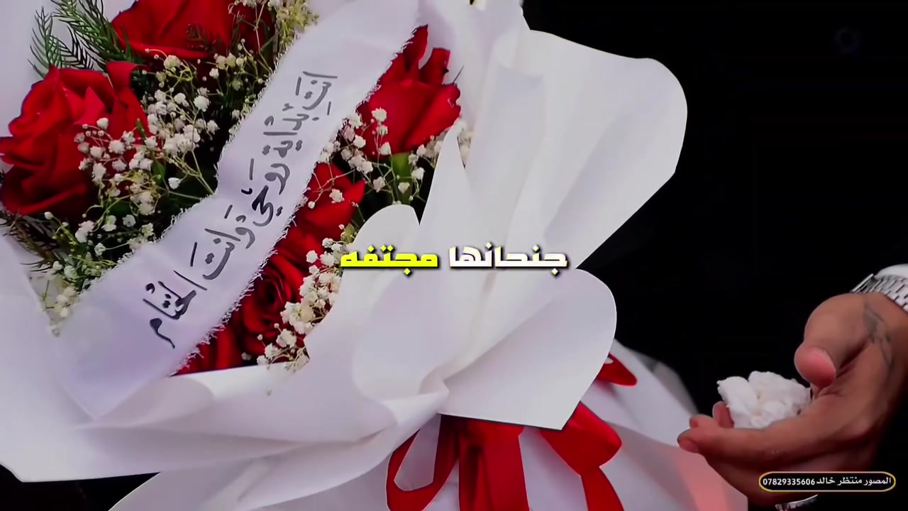 #عروض_عالمية💁 #واسعار_جوه_المية🔥
تصوير احترافي للفيديو ارضي وجوي  اضافه الى الريلزات والمونتاج
صور عدد مفتوح وجلسه خاصه وتعديل شامل لجميع الصور  بسعر جوه ال100 الف 👌
#احجز_هسه شمنتظر؟  ***********  ***********
