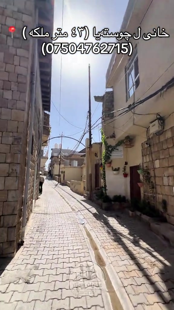 چوسته‌یا • ٤٣م • خانی