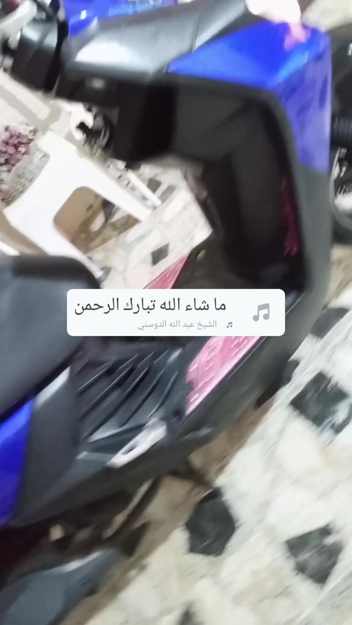 سكنس جبلي • حديث