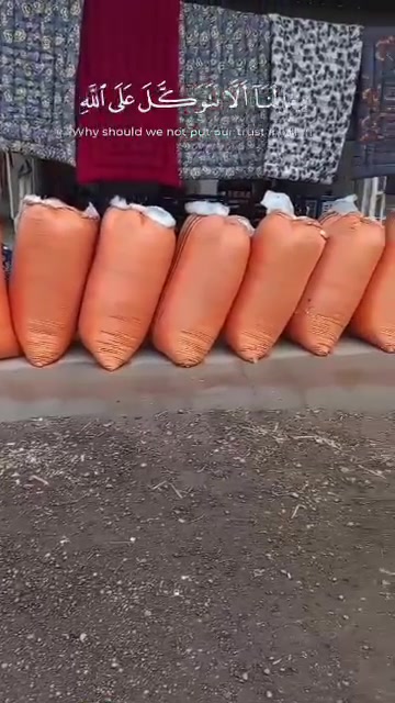 جودليات • درجة اولى • تجديد قطن