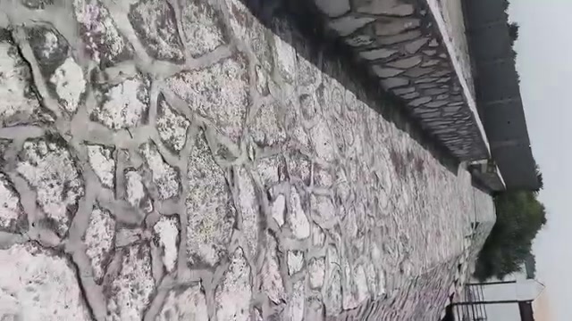 شاطي • ٣١٠٠م • شارع السفينه