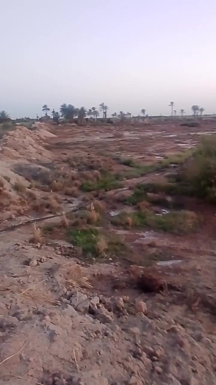 يوجد تراب الي يحتاج يتصل ويدلل كميه كلش كبيره للستفسار ***********
