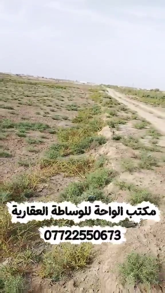 ٢٢ دونم • سند ٢٥ • خدمات كاملة