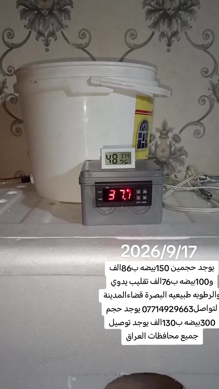 يوجد حجمين 150بيضه ب86الف و100بيضه ب76الف تقليب يدوي والرطوبه طبيعيه البصرة قضاءالمدينة لتواصل*********** يوجد حجم 300بيضه ب130الف يوجد توصيل جميع محافظات العراق
