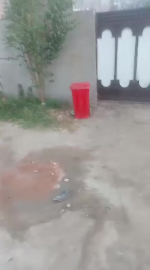 السلام عليكم بيت للبيع نحكي كل شيء بالمقطع والتفسير تواصل معانا على رقم الهاتف العنوان شارع المطار القديم قرب مدرسه الوصيه براكيه التفسير هذا الرقم*********** في واتساب

