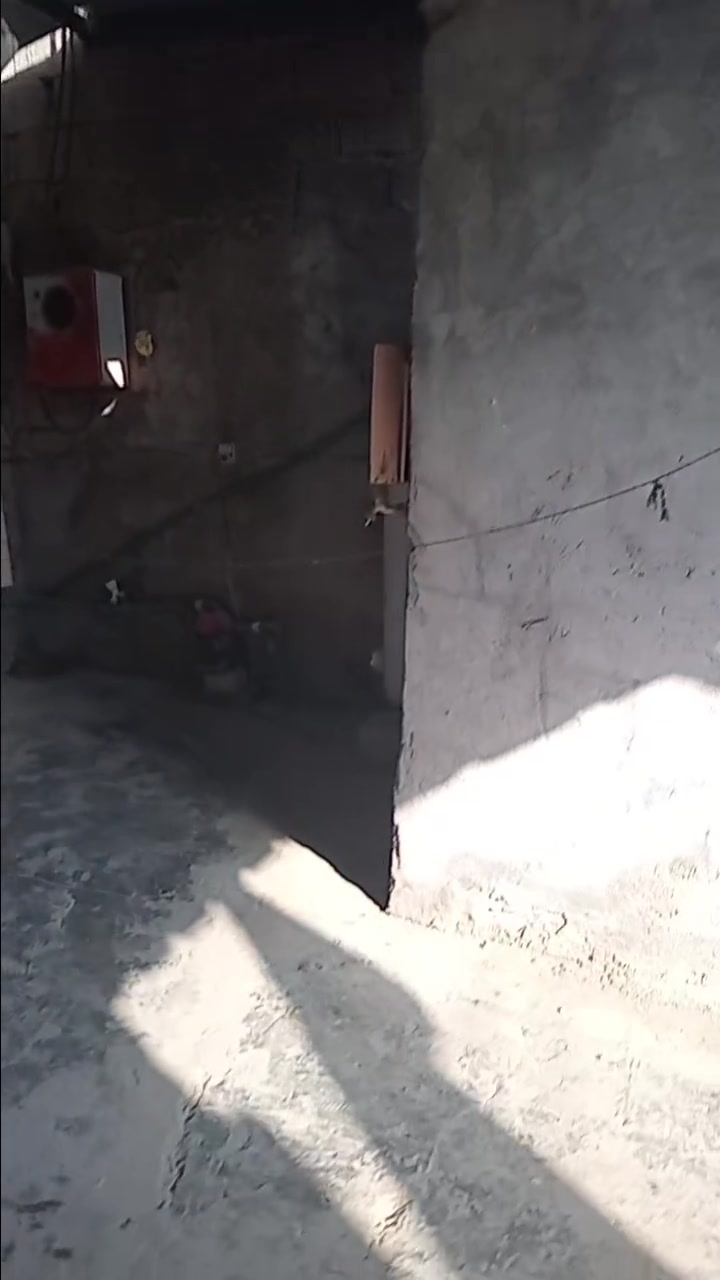 دار طابو زراعي سند ٢٥ المساحة ١٢٠م طابقين الطابق الأول استغبال ومطبخ وصاله وغرفه نوم والثاني غرفتين نوم كبار جسر ديالى مقابل عماره الدفاعي شارع الحدادين المنطقه كامله الخدمات السعر ٤٥ وبي مجال يصلح مشروع يجار او سكن الاتصال على الرقم ***********
