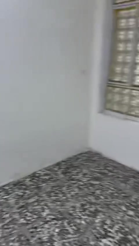 سلام عليكم مكلف بالنشر
سلام عليكم مكلف بالنشر

مشتمل طابق اول(للايجار)سكينه

 شارع مكاتب مقابيل روضة احباب الله  للاستفسار اتصال بالرقم 

***********
