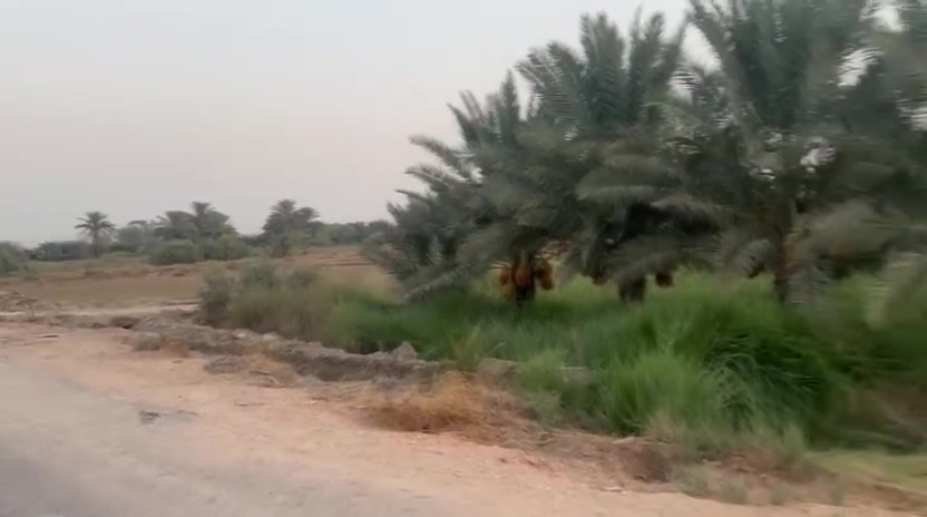 ٥ دوانم • ٣ بيوت • طابو زراعي سند ٢٥