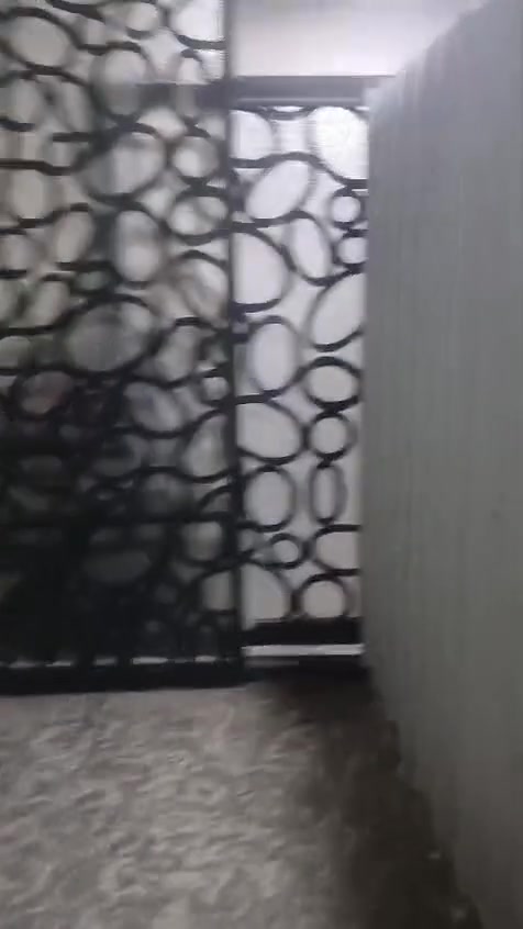بيت للايجار 
***********
واتساب
تتوفر أيجارات بالامانه ٥٠٠ الف 
ديوان المخابرات ٣ غرف ٦٥٠ و ملحقاته
