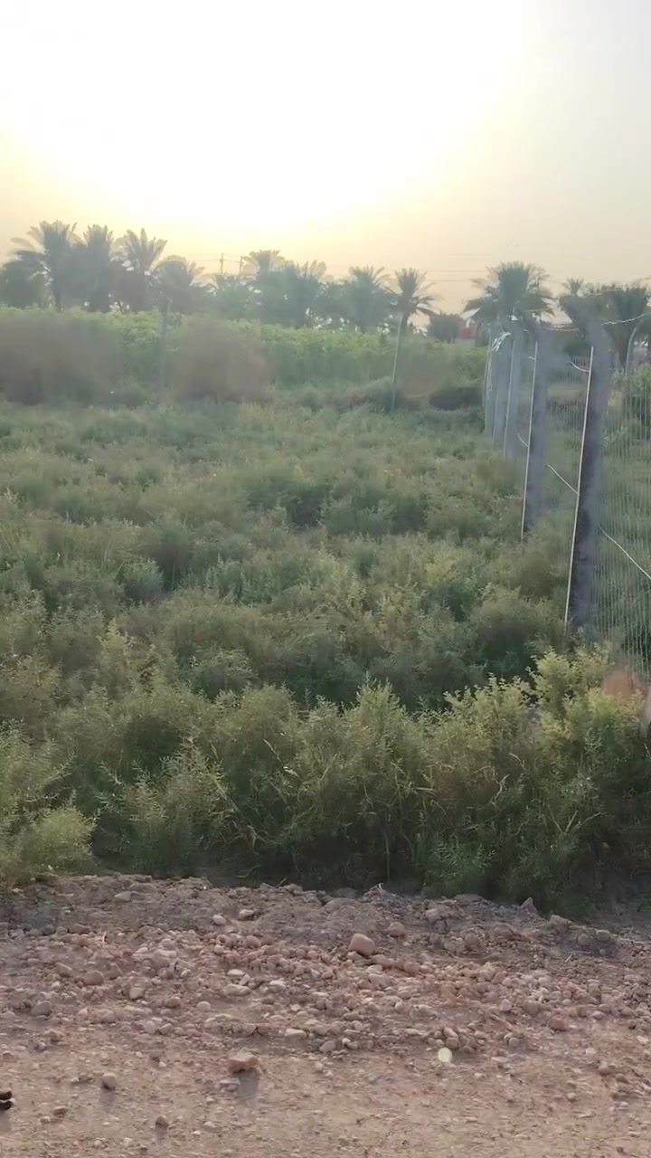 للبيع ***********
