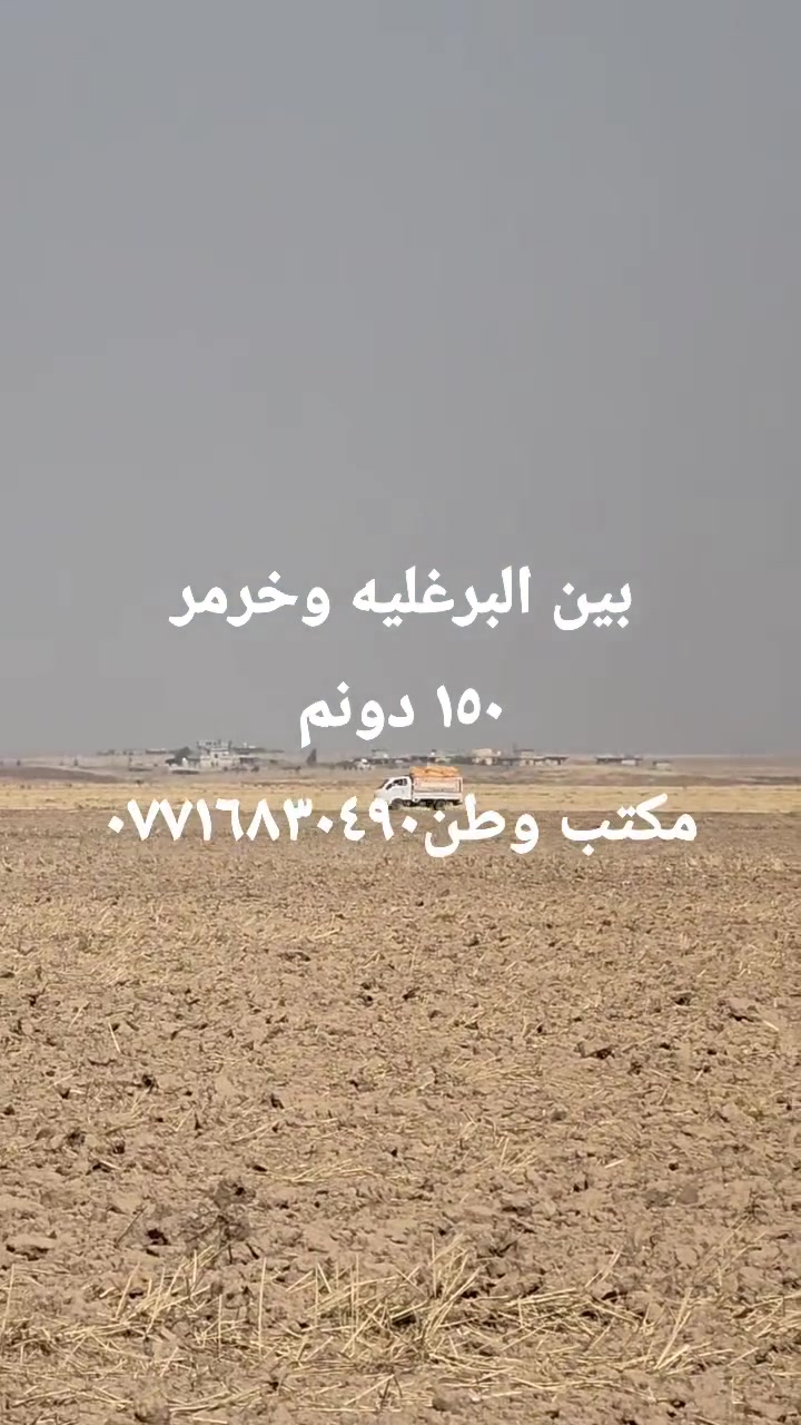 ١٥٠ دونم • غرب البرغلية • بدون فلاح