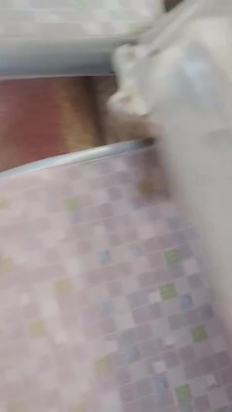 السلام عليكم كشنات كلابي للبيع مال كوستر العنوان الامين الثانيه 
***********
