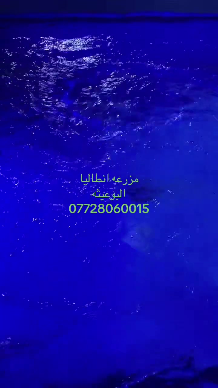 مزرعه انطاليا
البوعيثه
***********
