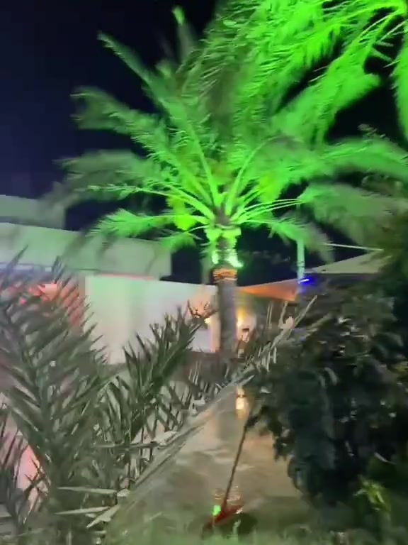 🏡 للبيع – دار استراحة أو سكن مميز
📍 الموقع: بغداد – المدائن / منطقة التويثة
📍 تبعد 200 متر فقط عن سدة التويثة.
📐 المساحة: 3000 متر²
📏 الواجهة: 52 متر.
مواصفات العقار:
منزل متكامل يضم:
3 غرف نوم
صالة
استقبال
مطبخ
صحيات
مسبح
حديقتان
جلسة شواء
جلسة شتوية خارجية
مساحة فارغة واسعة بجانب المنزل يمكن استغلالها حسب الرغبة.
✅ العقار مناسب جدًا كـ دار استراحة أو سكن عائلي.
📞 للاستفسار والاتصال: ***********
