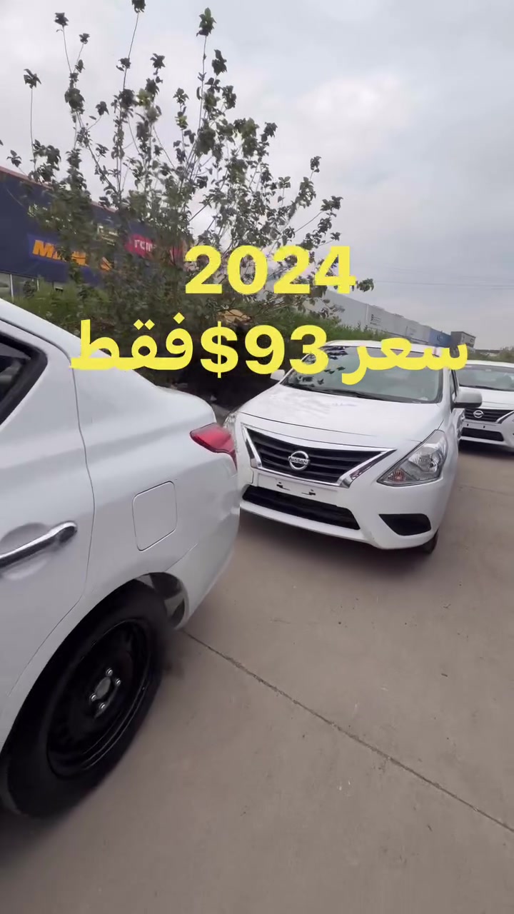 صني هندي • ٢٠٢٤ • اربيل